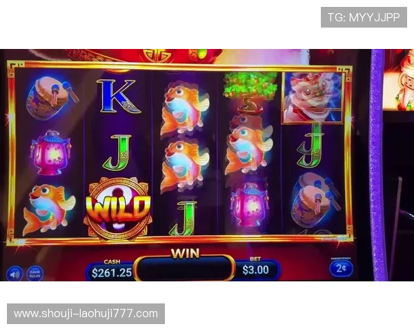 澳门老虎机游戏规则指南全面解析澳门老虎机的基本玩法和注意事项