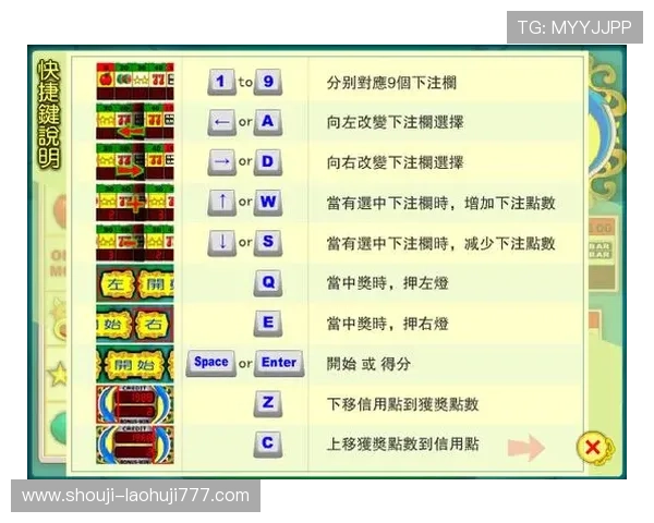 老虎机官方入口专业客服支持，解决您的所有游戏疑问